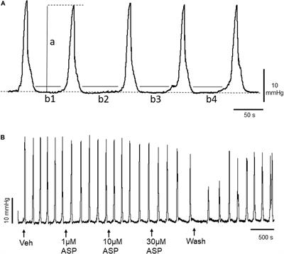 TRPA1 Channel Activation Inhibits Motor Activity in the Mouse Colon